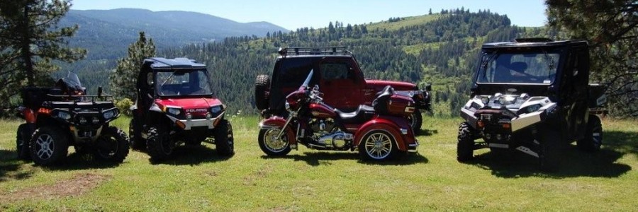 Motorized Toy Collection